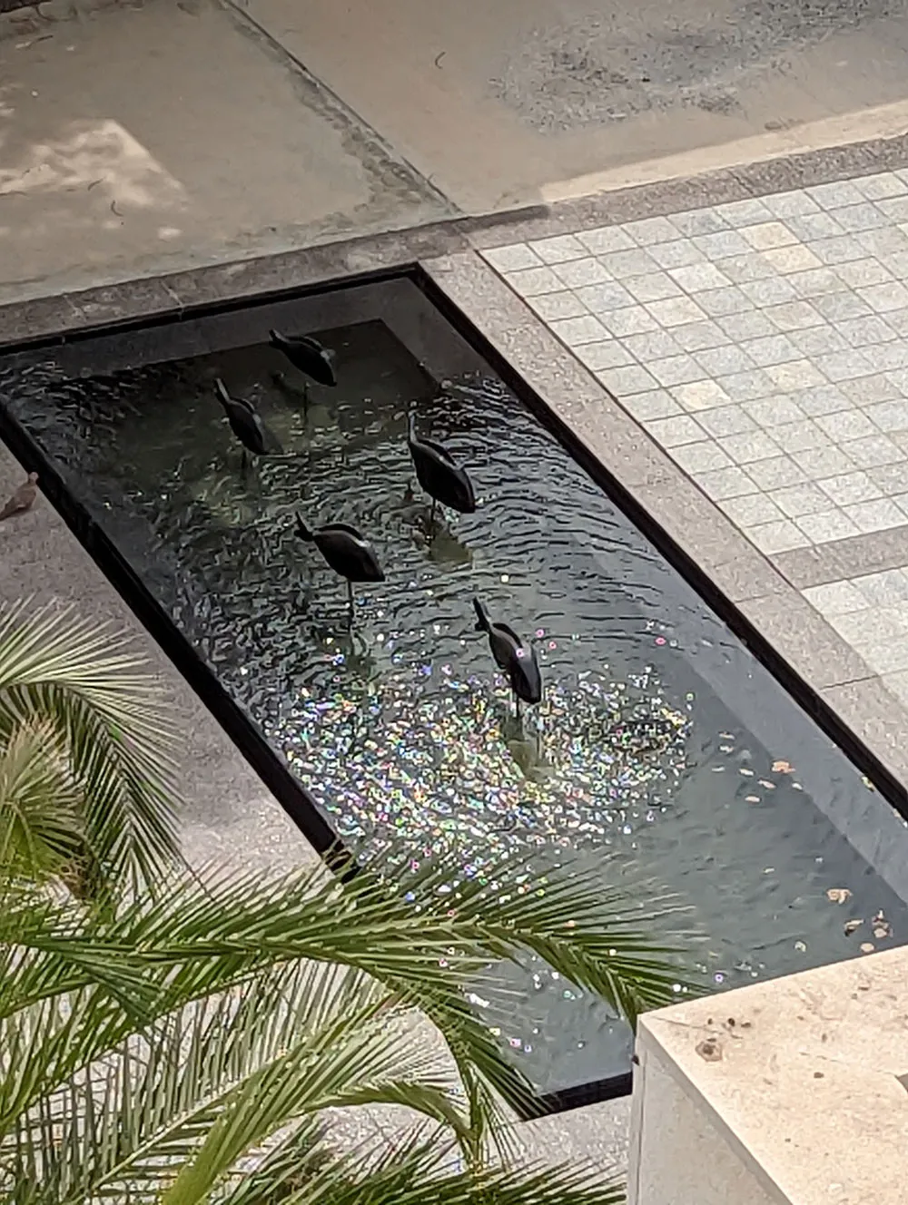 Swimming Fish Pond Sculpture 2