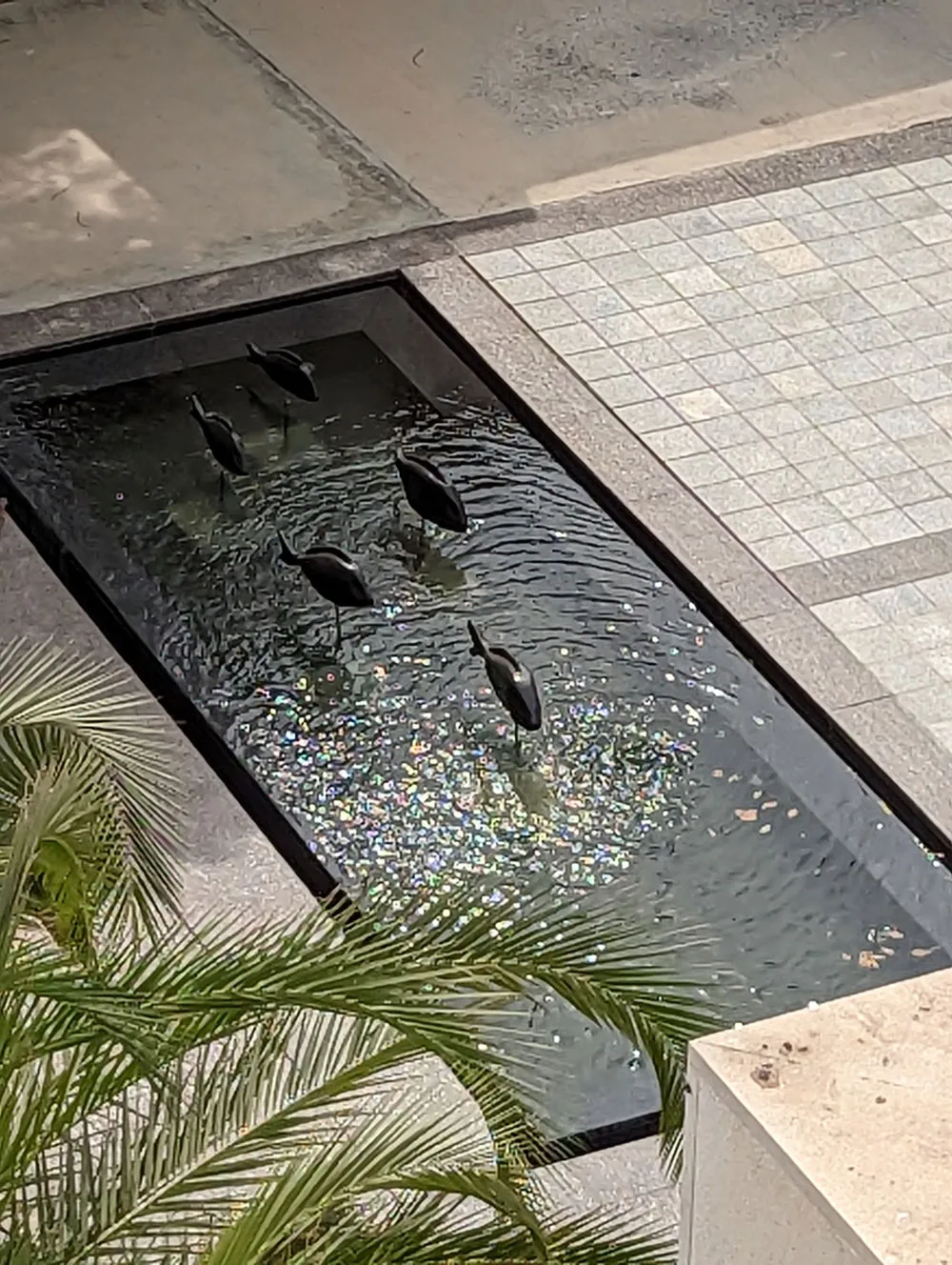 Swimming Fish Pond Sculpture 9